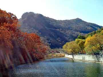 新澳天天开奖资料大全旅游团，天窗有用吗